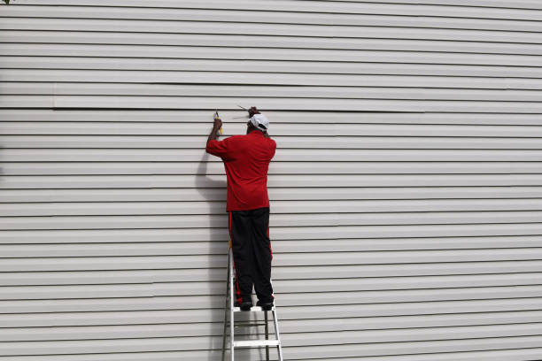 Best Siding Painting and Refinishing  in Newfoundland, NJ