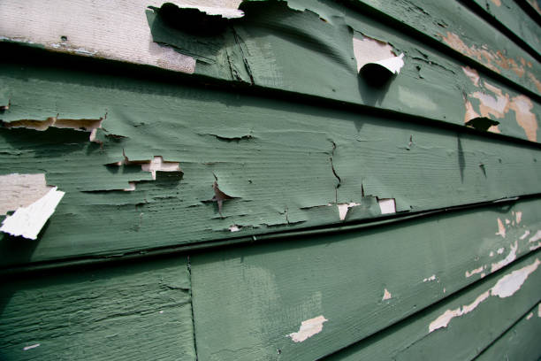 Best Wood Siding Installation  in Newfoundland, NJ
