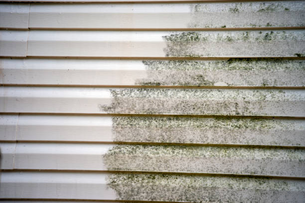 Best Siding Replacement  in Newfoundland, NJ