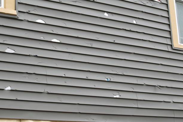 Best Engineered Wood Siding  in Newfoundland, NJ
