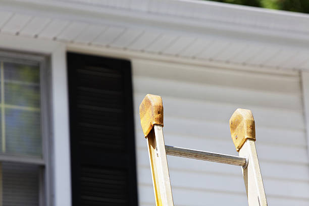 Best Custom Siding Design  in Newfoundland, NJ