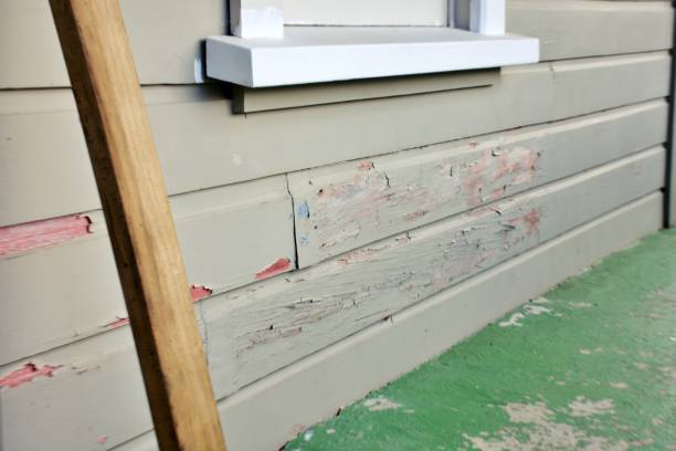 Trusted Newfoundland, NJ Siding Installation & Repair Experts